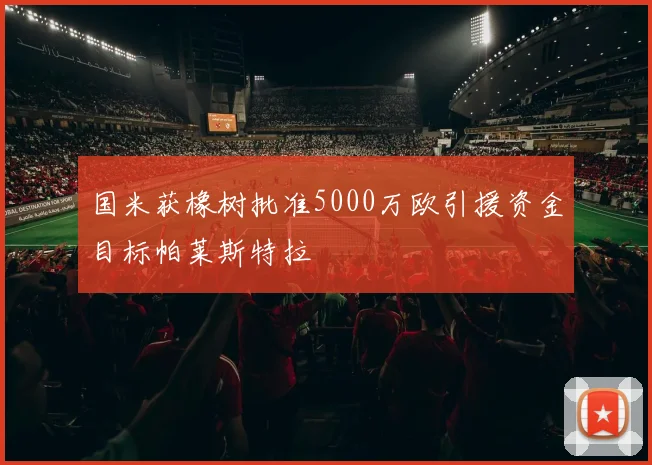 国米获橡树批准5000万欧引援资金目标帕莱斯特拉